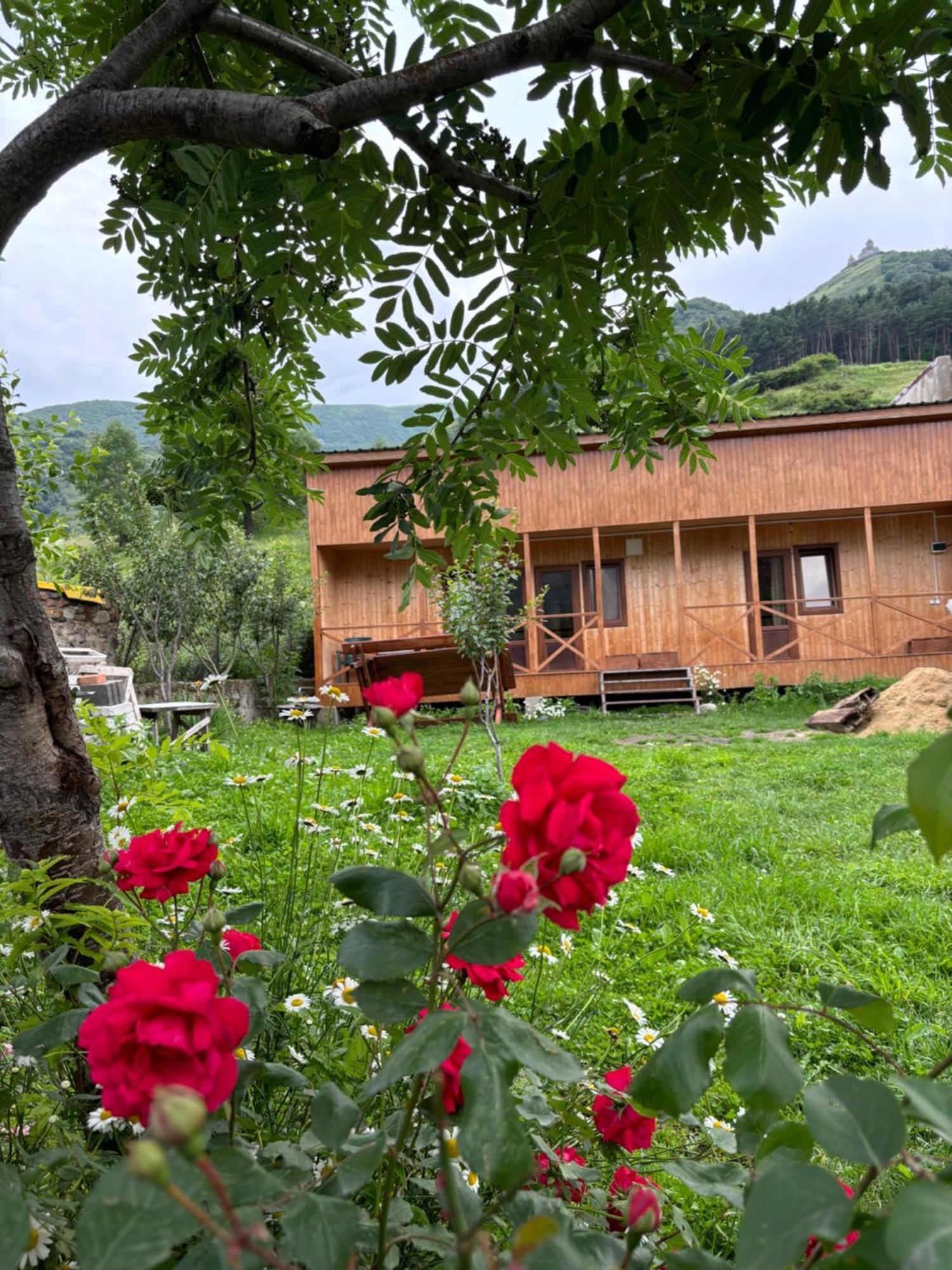 Family Hostel Nika Kazbegi Kültér fotó